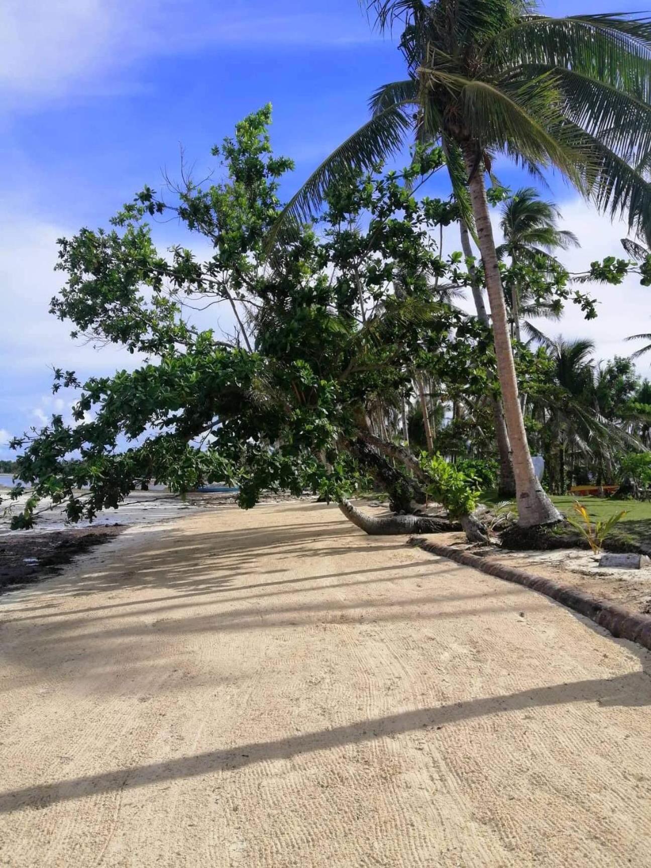 Siargao Longterm Villas - Epbliss ゼネラル・ルナ エクステリア 写真